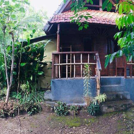 Echo Alam Nusa Lodge Ped Εξωτερικό φωτογραφία