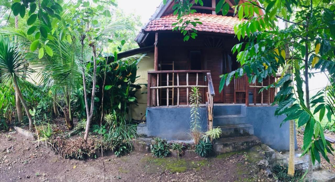 Echo Alam Nusa Lodge Ped Εξωτερικό φωτογραφία