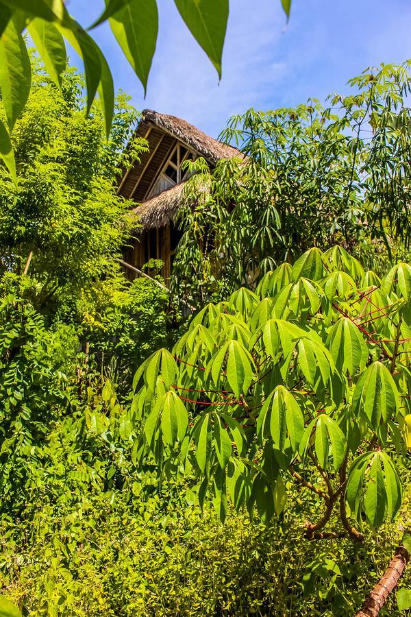 Echo Alam Nusa Lodge Ped Εξωτερικό φωτογραφία
